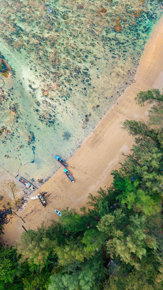 A crisp vertical aerial photograph looking straight down at a pristine sandy beach with traditional boats moored along the clear shallow shoreline bordered by lush green pine trees