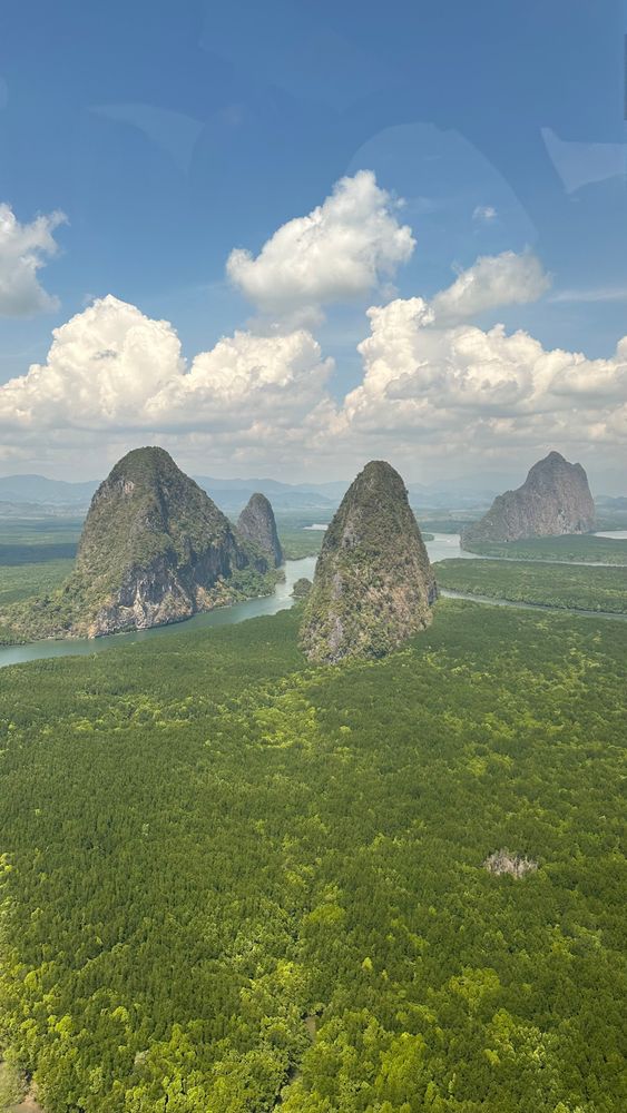 Three Generations, One Horizon: The Tanaka Story