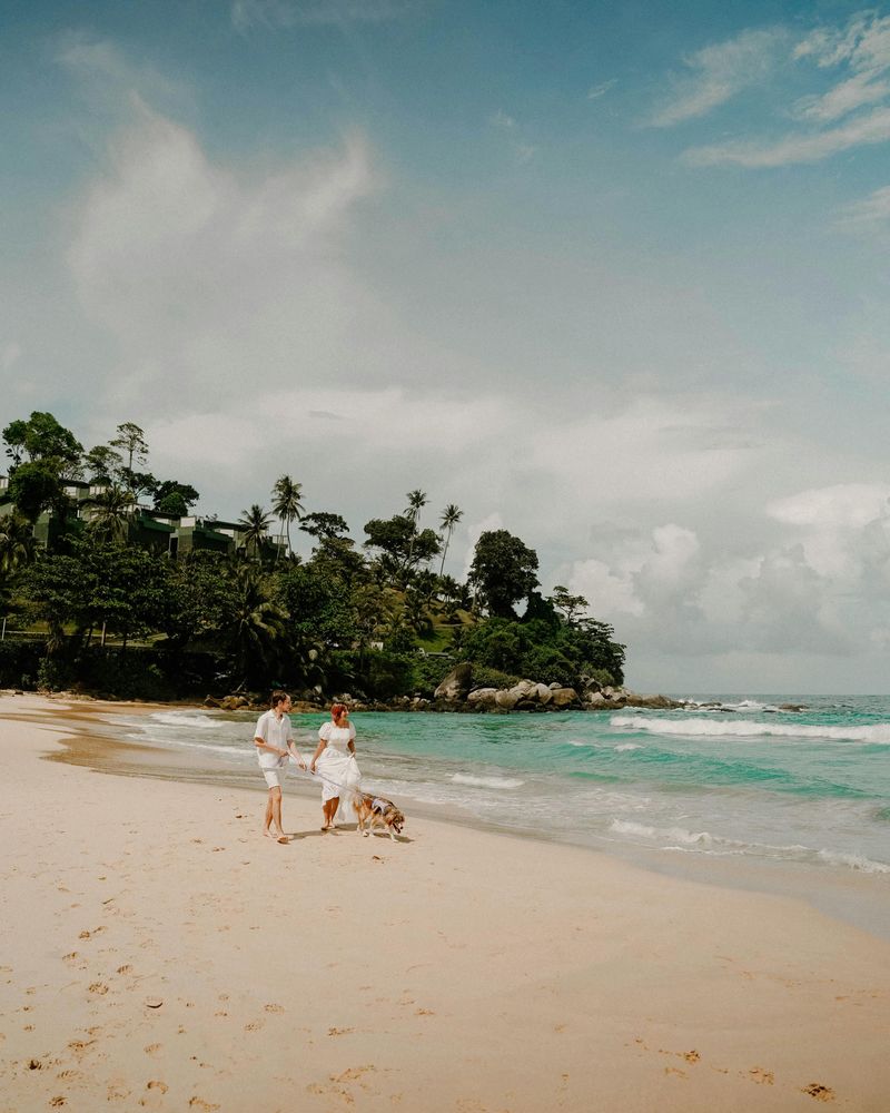 couple walking their dog along a pristine beach in phuket. 