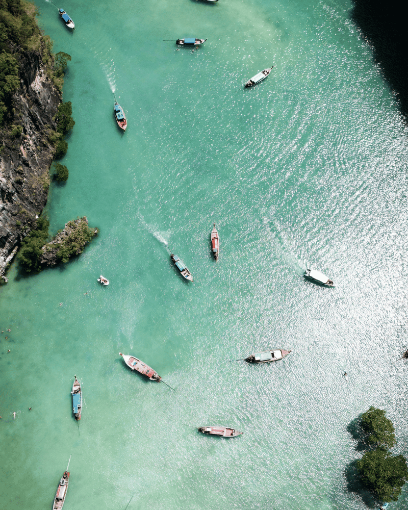 Priceless Family Memories