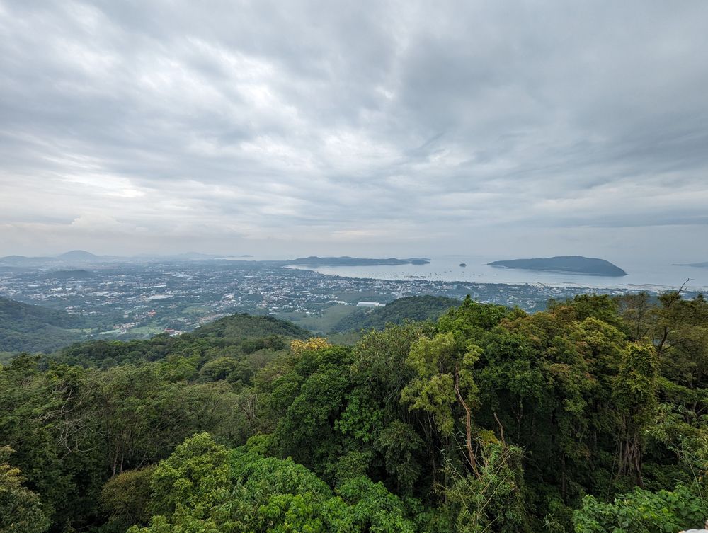 Thick lush green canopy of Phuket.